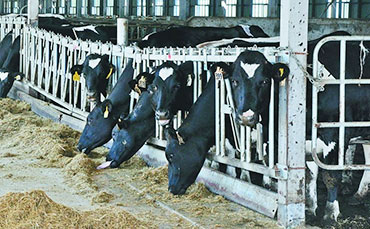 天潤(rùn)新東制冷罐出口印度 實(shí)現(xiàn)南亞乳業(yè)"冷"突破